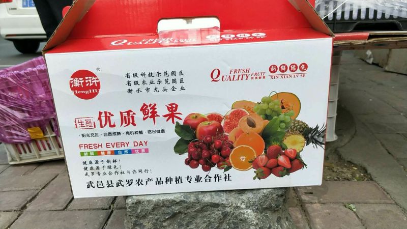 西州蜜瓜2斤以上椭圆形