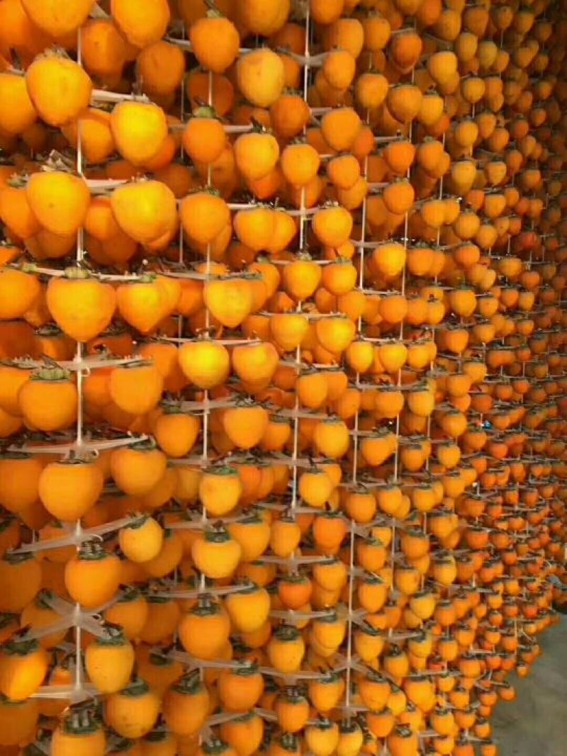 柿饼1~2两
