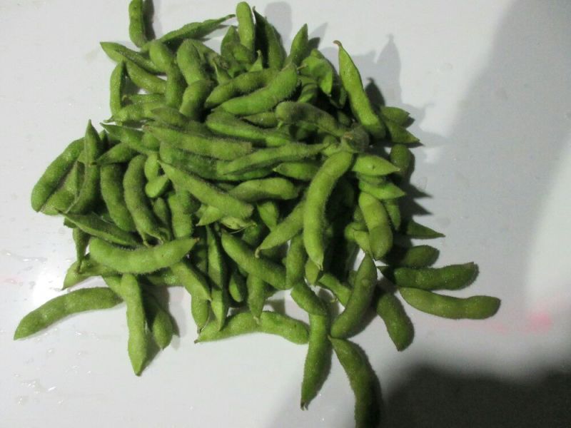 毛豆种子