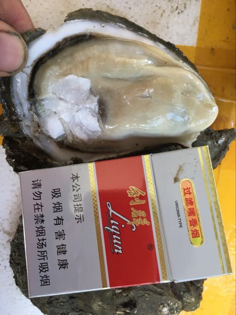 生蚝3只/斤