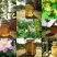 蜂蜜2斤