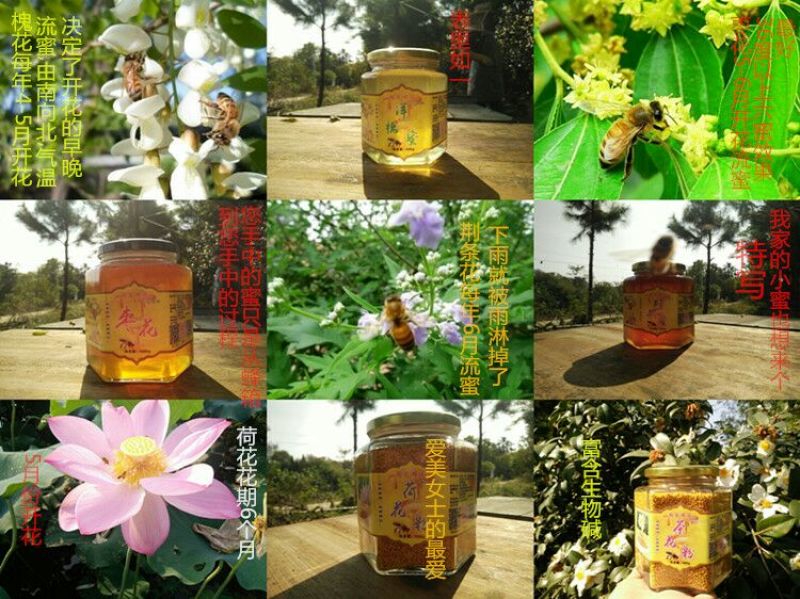 蜂蜜2斤