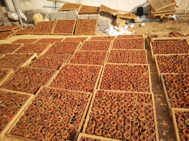 【一件代发】恭城柿饼批发柿子饼批发可供电商或者市场可接