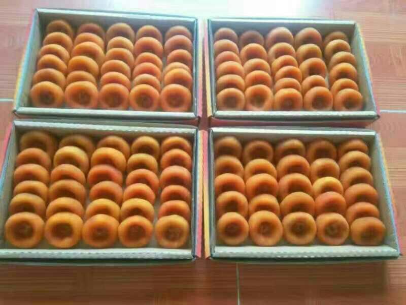 【一件代发】恭城柿饼批发柿子饼批发可供电商或者市场可接