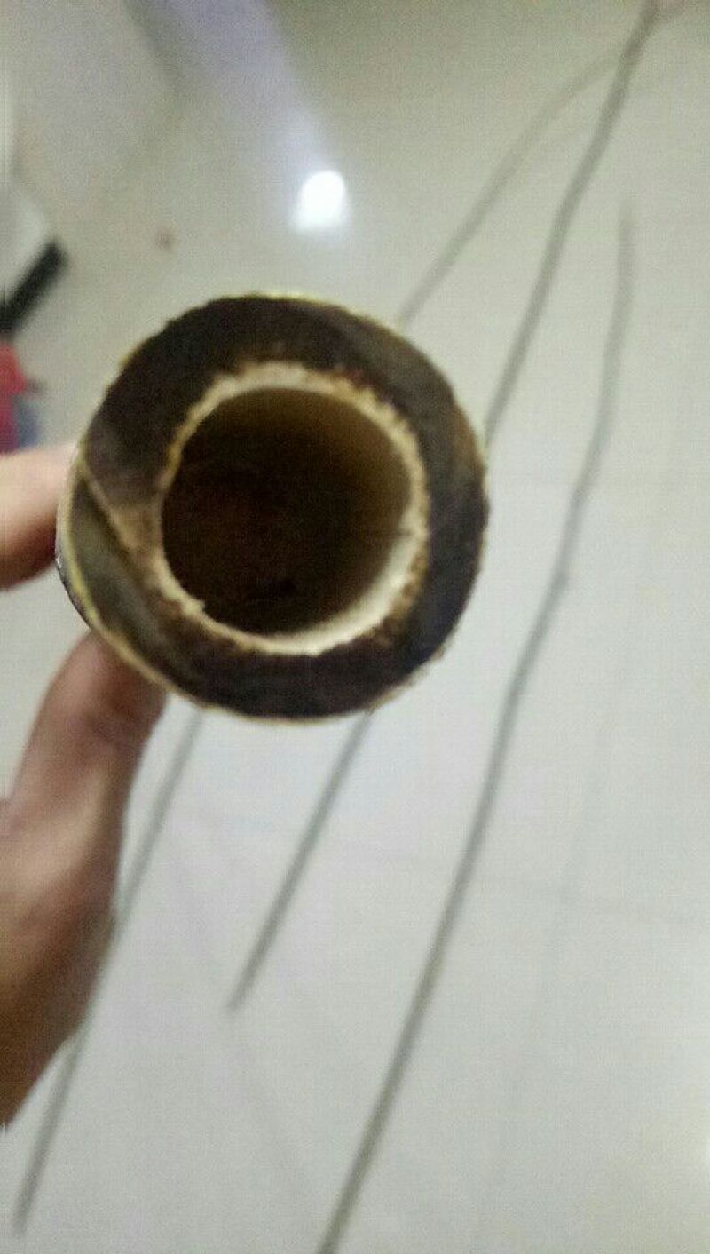 毛竹西红柿架2~3cm2~3米