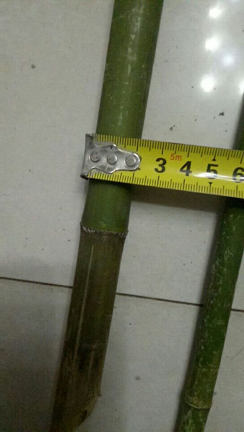 毛竹西红柿架2~3cm2~3米