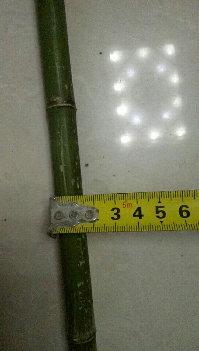 毛竹西红柿架2~3cm2~3米