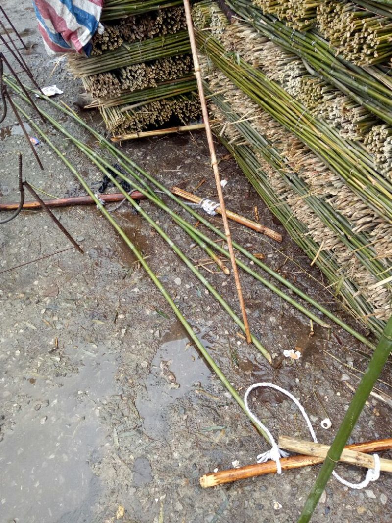 毛竹西红柿架2~3cm2~3米