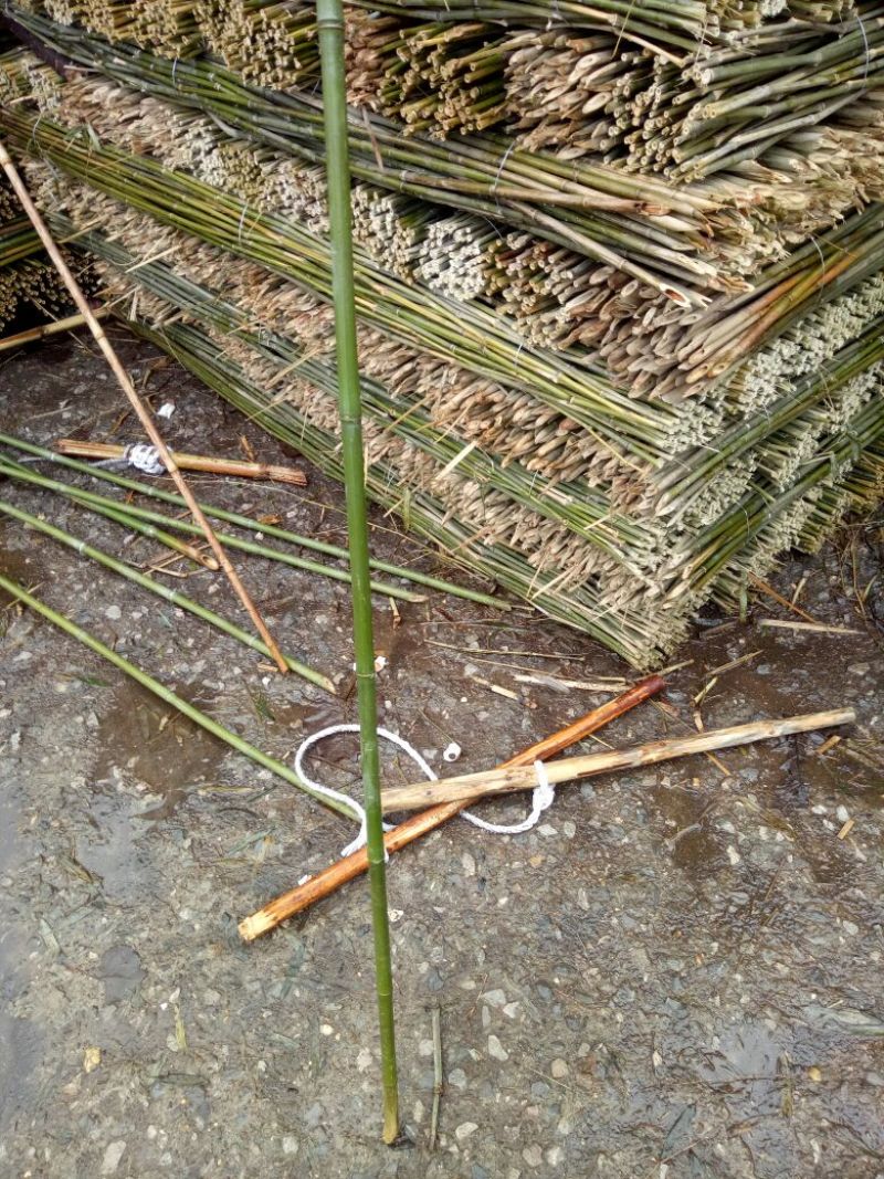 毛竹西红柿架2~3cm2~3米