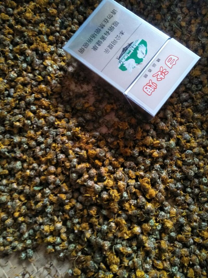 野菊花散装