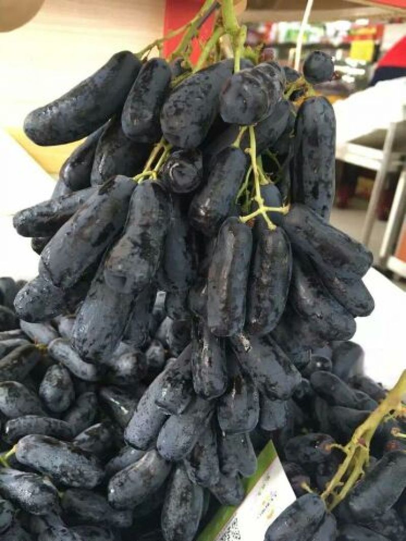 葡萄苗，扦插嫁接现起现发，保湿发货，质量好，技术