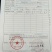 无花果苗波姬红，青皮无花果苗