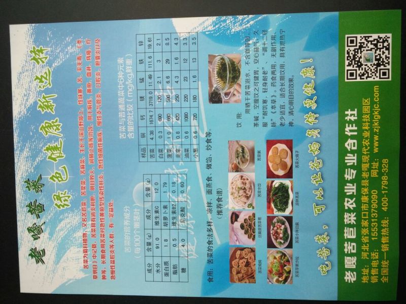 曲麻菜15~20厘米
