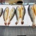 大黄鱼食用