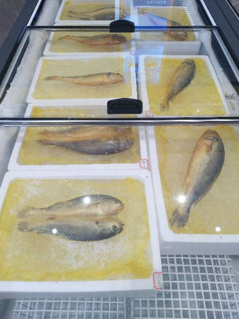 大黄鱼食用