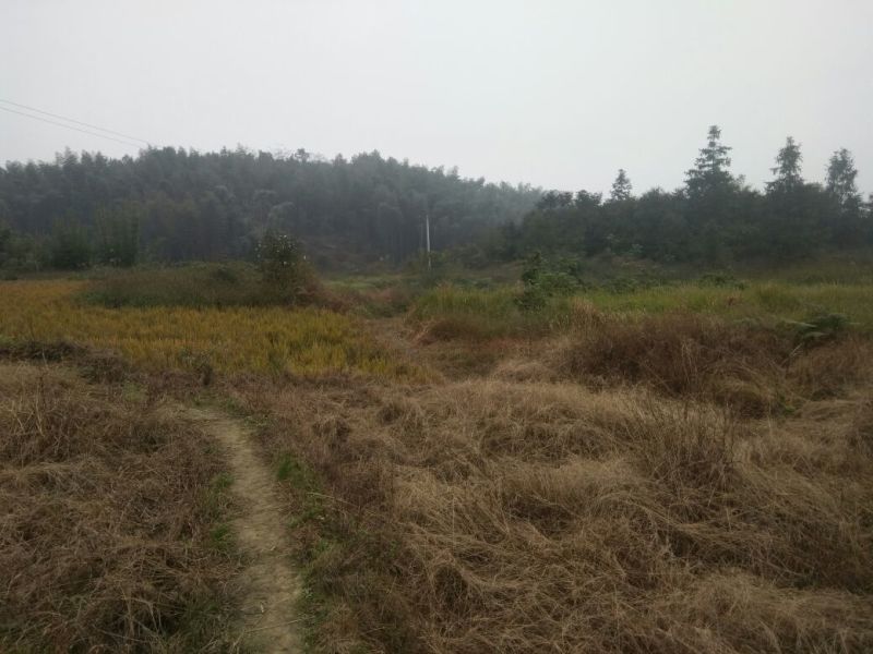 荒地出租10~30年10~100亩
