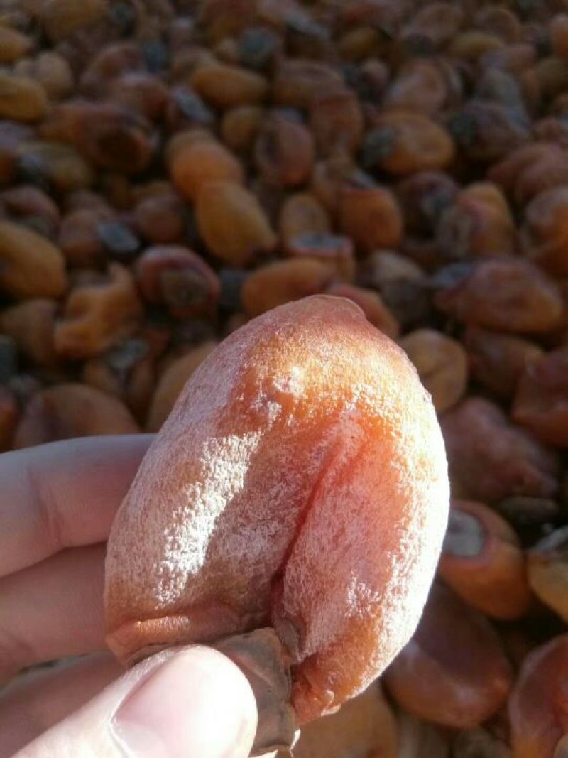 柿饼1~2两