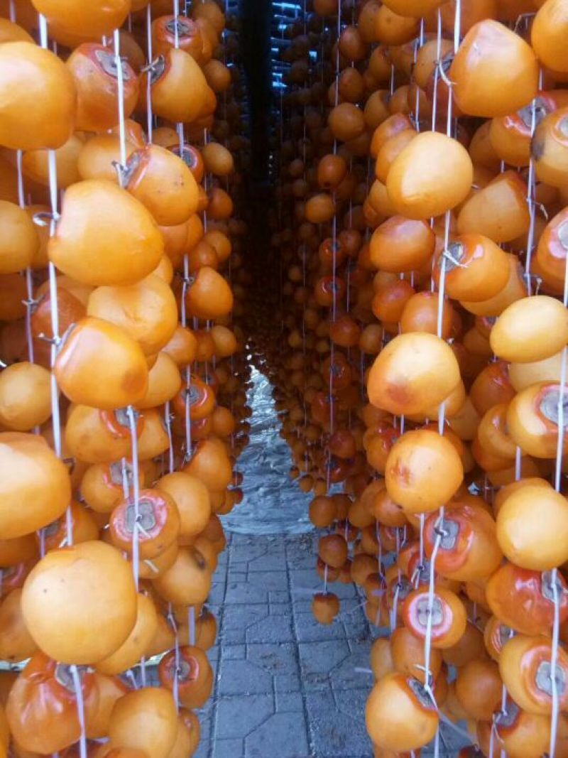 柿饼1~2两
