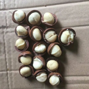 夏威夷果特大果奶油味