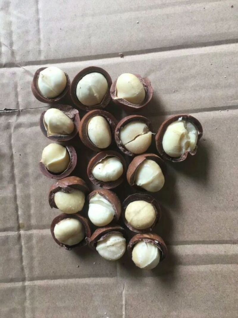 夏威夷果特大果奶油味