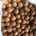 夏威夷果特大果奶油味