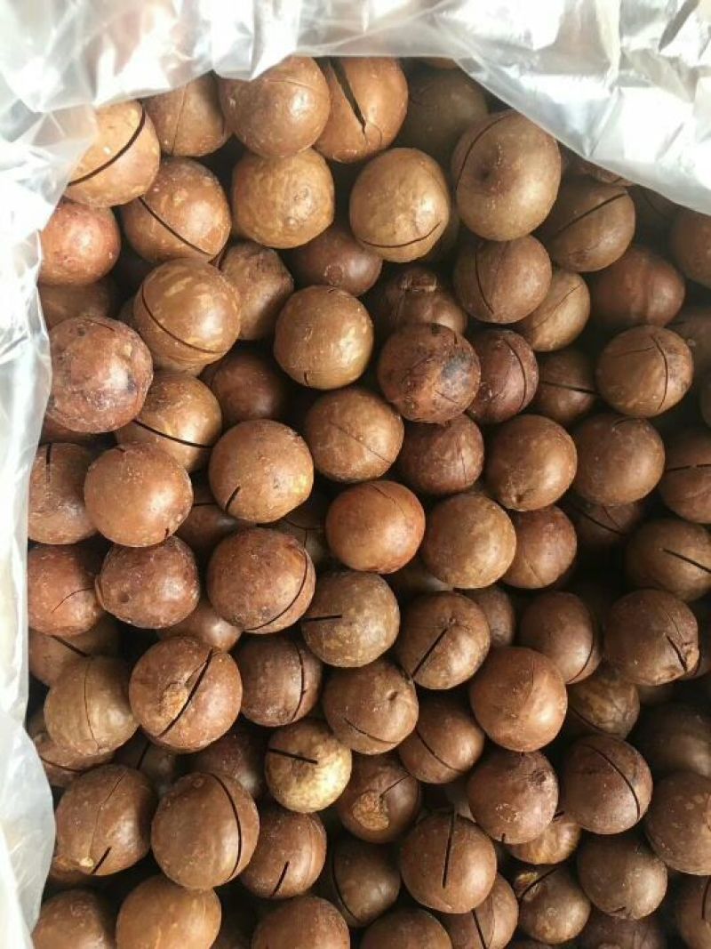 夏威夷果特大果奶油味