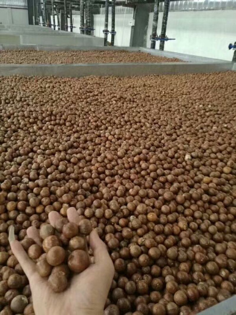 夏威夷果特大果奶油味