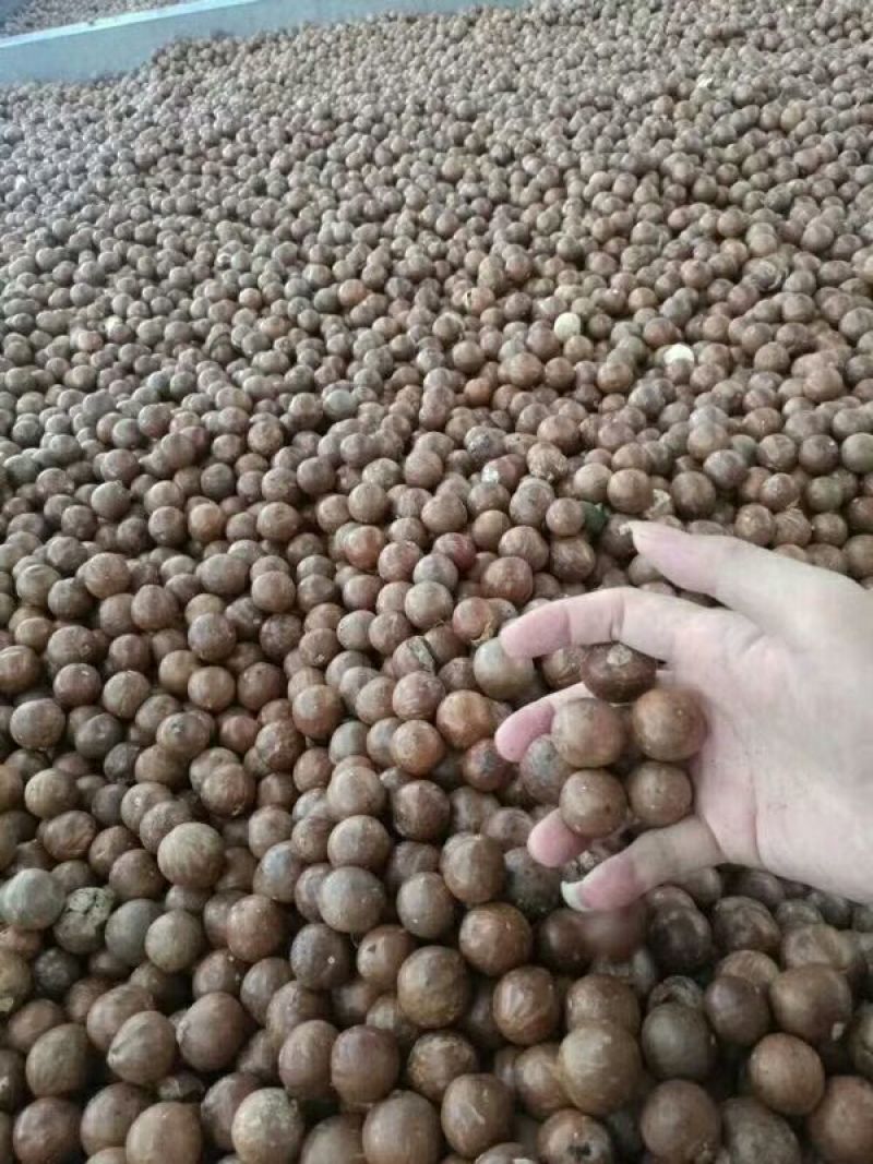 夏威夷果特大果奶油味