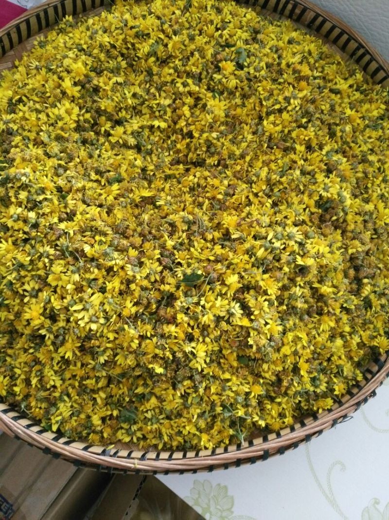 野菊花散装