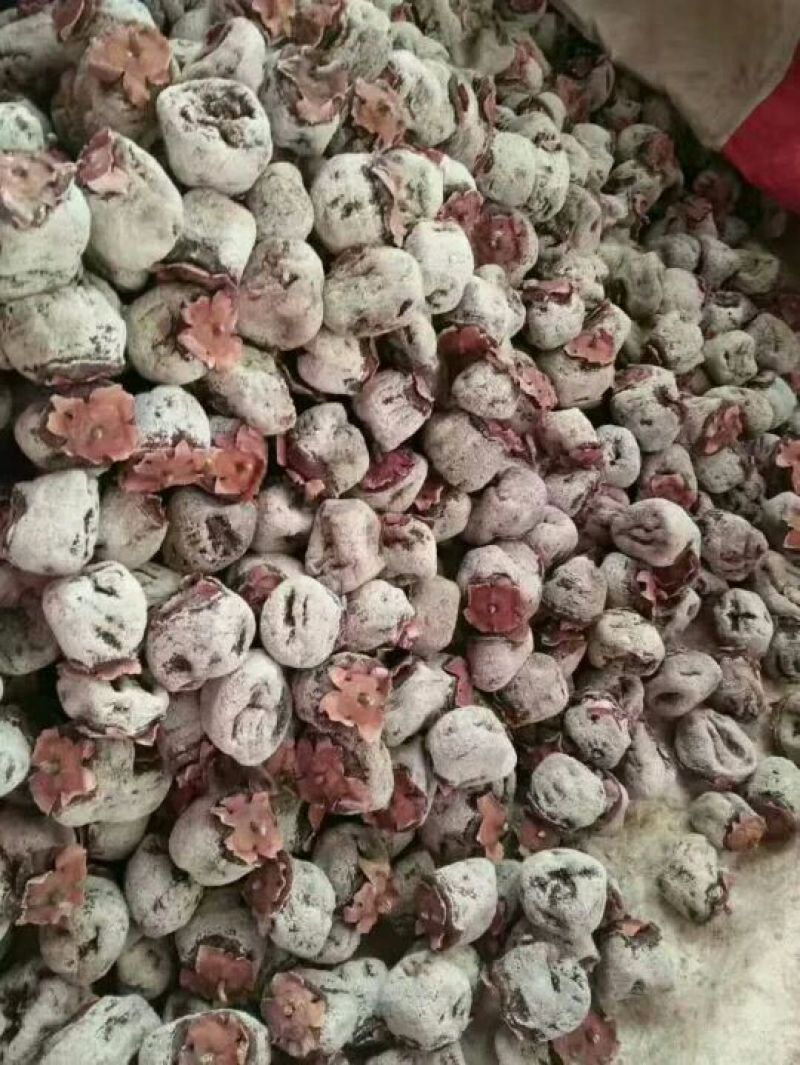 柿饼1~2两