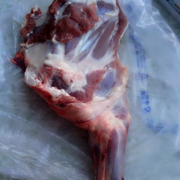羊肉是带骨绵羊肉