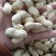 白沙系列干货带壳