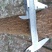 国槐6~8cm4~6cm1~2米