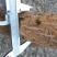 国槐6~8cm4~6cm1~2米