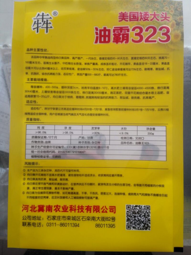 油霸323葵花向日葵美国矮大头油葵种子