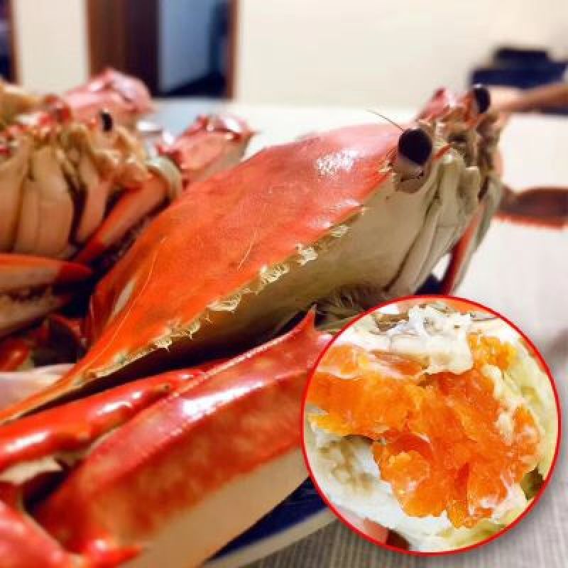 疣状梭子蟹食用