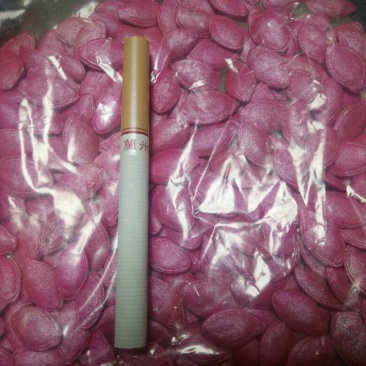 葫芦种子