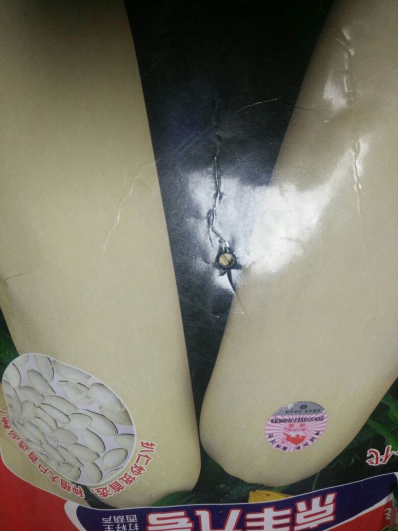 葫芦种子