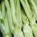 棒菜园叶棒菜芥菜圆叶芥菜花叶棒棒菜5两以上