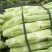 棒菜园叶棒菜芥菜圆叶芥菜花叶棒棒菜5两以上