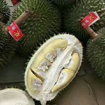 金枕榴莲一级果果园一手货源现摘现发，价格优惠质量保证