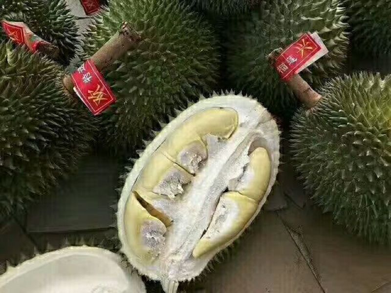 金枕榴莲一级果果园一手货源现摘现发，价格优惠质量保证