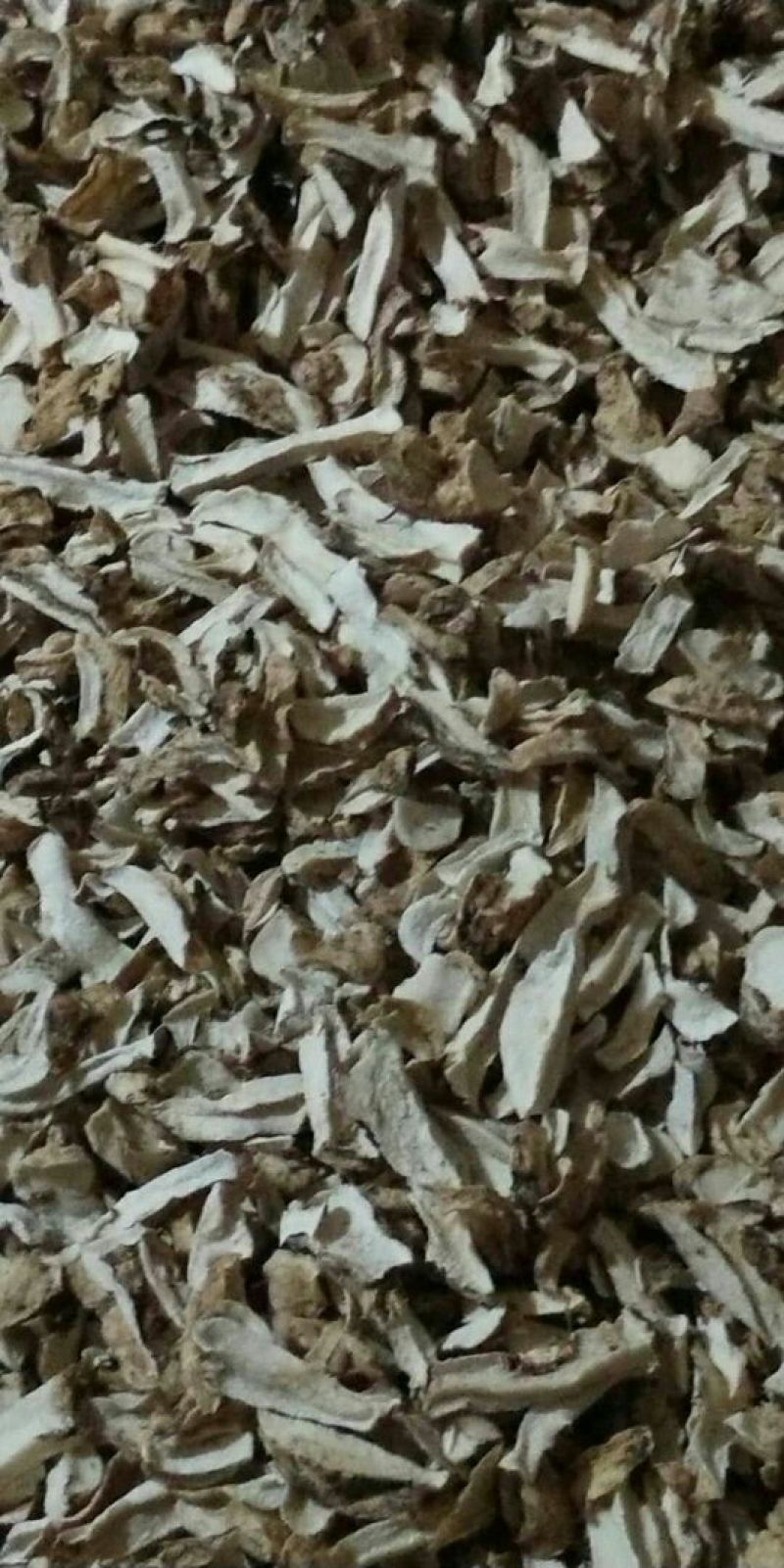 【精品】鲜货正宗魔芋产地直供保质保量量大从优