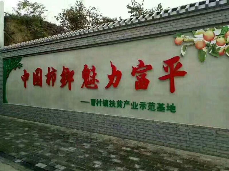 柿饼1~2两