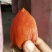 柿饼1~2两