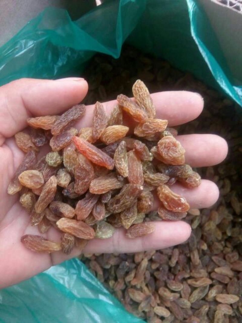 葡萄干无核一级新疆葡萄干量大从优商超直供