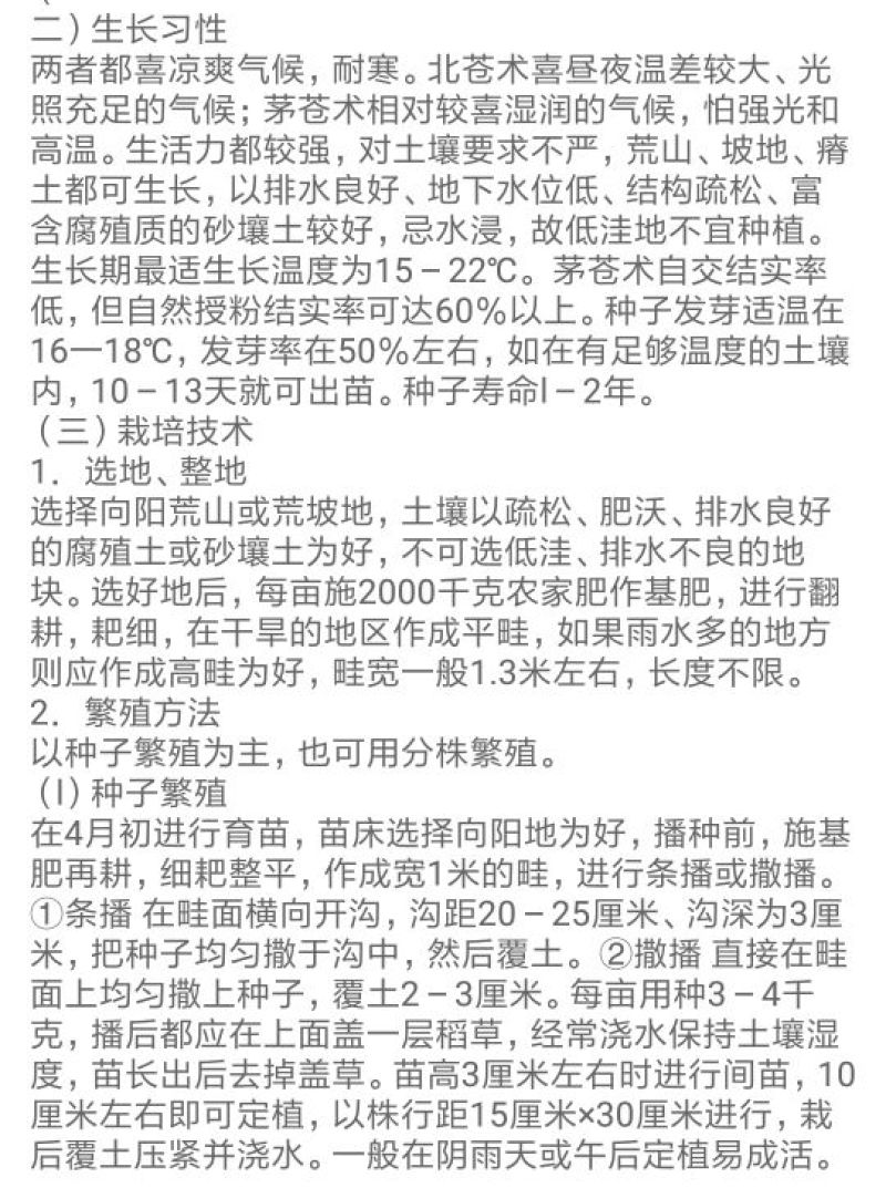 苍术种子北苍术籽（有朱砂点）