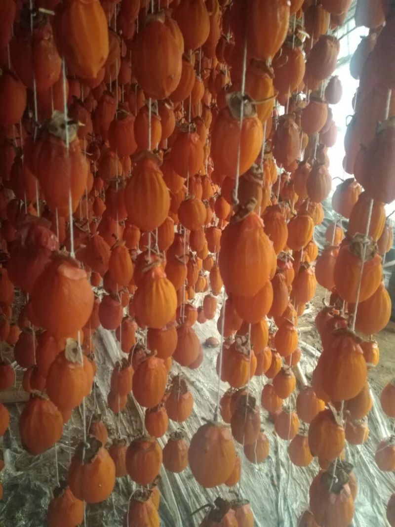 柿饼1两以下