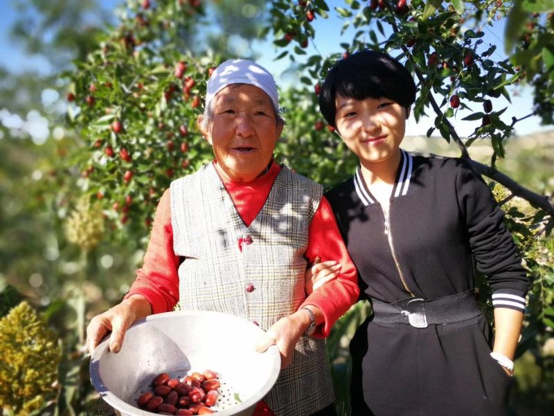 紫晶枣