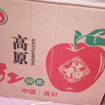 红富士苹果70mm以上纸+膜袋